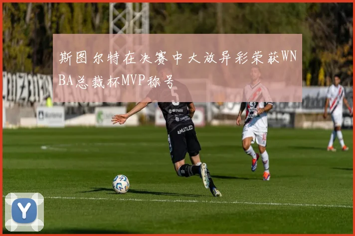 斯图尔特在决赛中大放异彩荣获WNBA总裁杯MVP称号