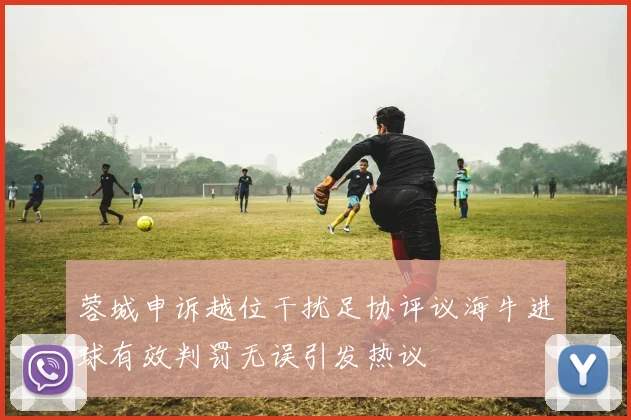 蓉城申诉越位干扰足协评议海牛进球有效判罚无误引发热议