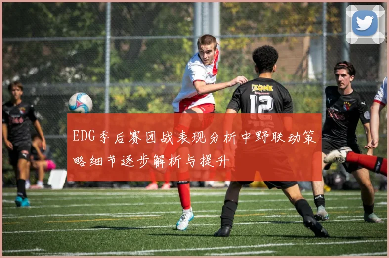 EDG季后赛团战表现分析中野联动策略细节逐步解析与提升